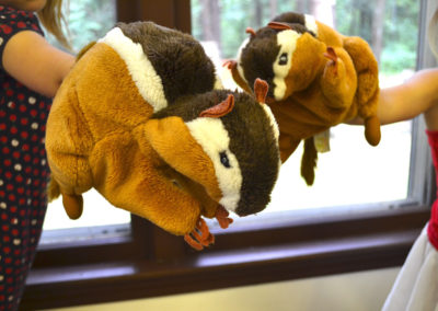 acorn chipmunk puppets