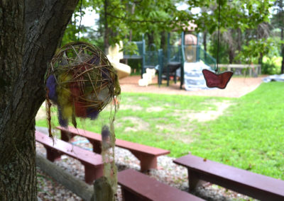 acorn wool birds nest